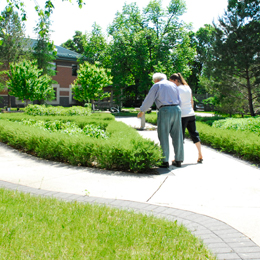 A picture of Riverview Health Centre's Wander way path 